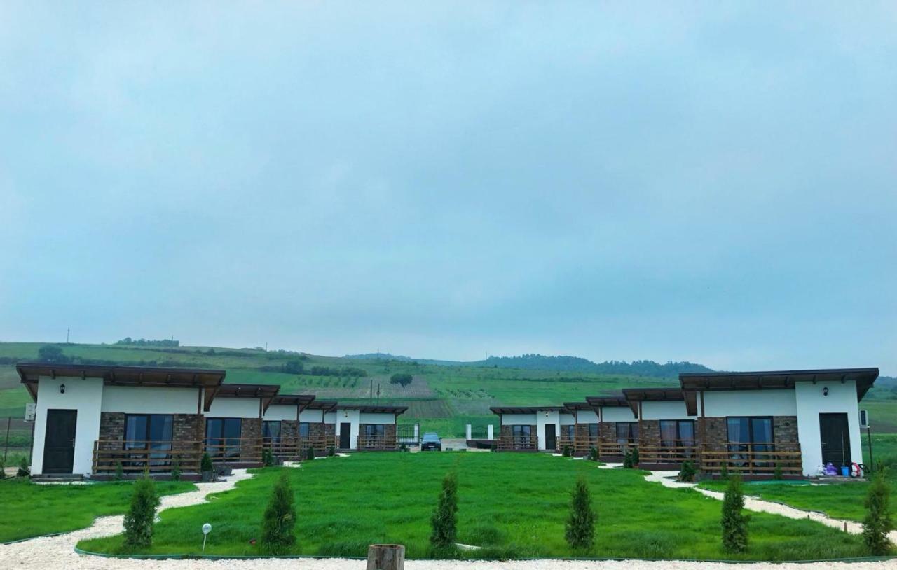 Clisura Dunarii- Danube Village Resort Gornea Exterior foto